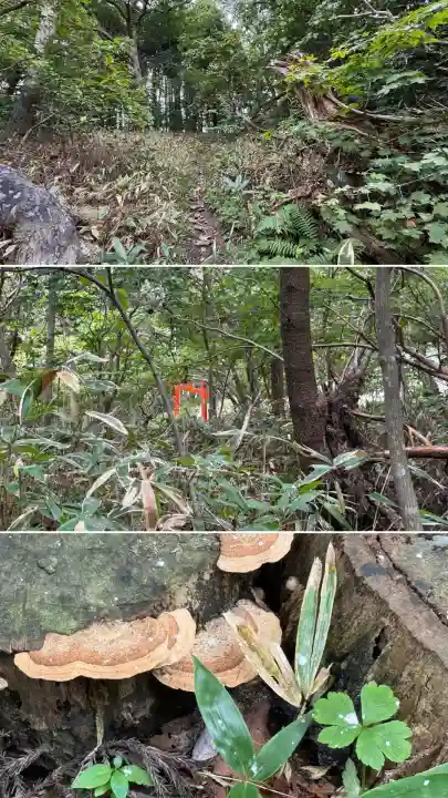 正一位石倉稲荷神社(北海道)