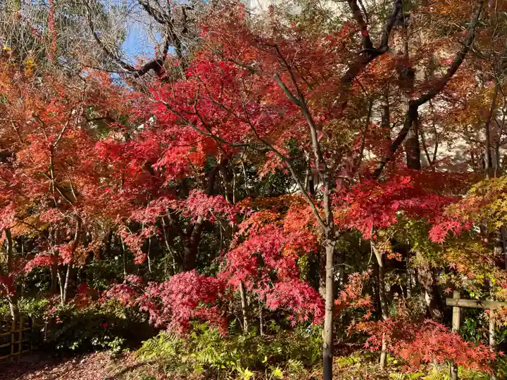 晴明神社(京都府)