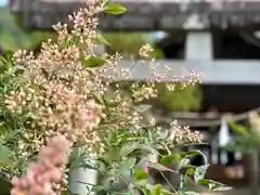 倶梨迦羅神社(長野県)