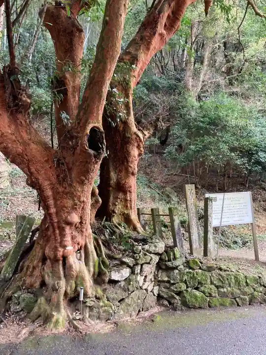 恩山寺の{uncategorized: "未分類", other: "その他", undefined: "問題あり", building: "その他建物", grave: "お墓", sacred_gate: "鳥居", guardian: "狛犬", statue: "像", buddha: "仏像", history: "歴史", nature: "自然", garden: "庭園", animal: "動物", pagoda: "塔", temizu: "手水舎", mountain_gate: "山門・神門", sanctuary: "本殿・本堂", subordinate: "末社・摂社", art: "芸術", scenery: "景色", jizo: "地蔵", ema: "絵馬", goshuin: "御朱印", omikuji: "おみくじ", items: "授与品その他", amulet: "お守り", goshuincho: "御朱印帳", eats: "食事", festival: "お祭り", votive_dance: "神楽", shichigosan: "七五三参", wedding: "結婚式", experience: "体験その他", initially: "初詣", around: "周辺", anti_infection: "感染症対策"}