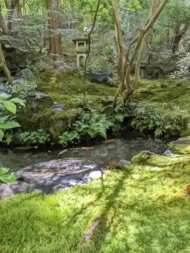 光明寺瑠璃光院(京都府)