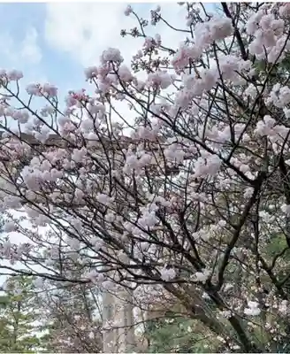 御香宮神社(京都府)