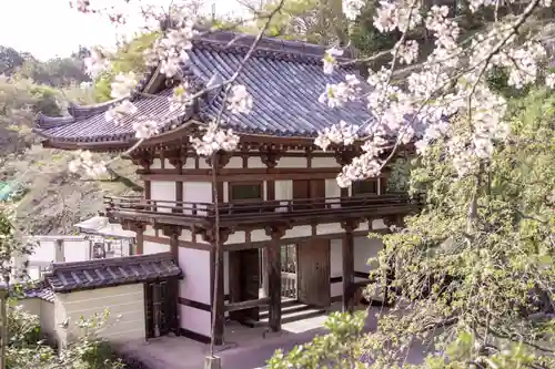 岡寺（龍蓋寺）(奈良県)