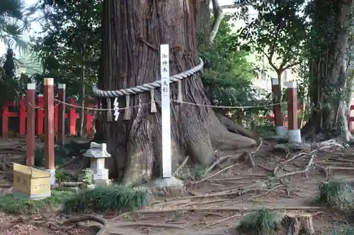 麻賀多神社奥宮(千葉県)