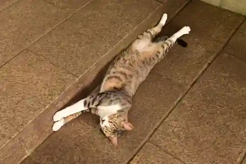 王子神社(徳島県)