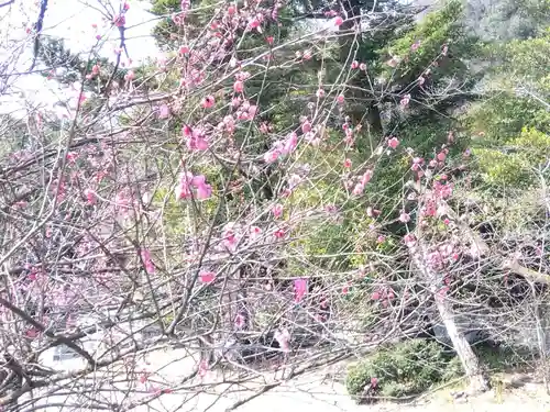 藤島神社（贈正一位新田義貞公之大宮）(福井県)