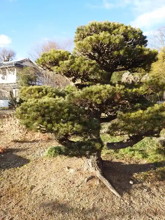 興聖寺(栃木県)