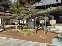 善龍寺(千葉県)