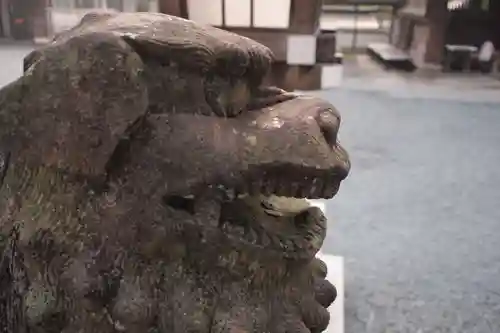 阿蘇神社の狛犬