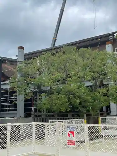 太宰府天満宮(福岡県)