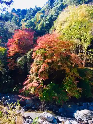 久遠寺(山梨県)