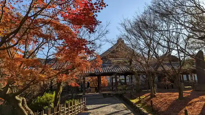 東福禅寺(東福寺)(京都府)