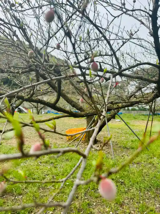 秋葉神社(和歌山県)