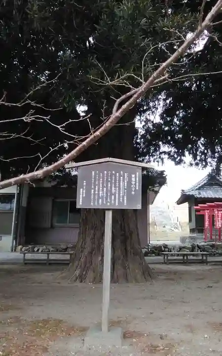 東福寺(静岡県)