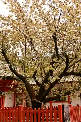 金櫻神社(山梨県)