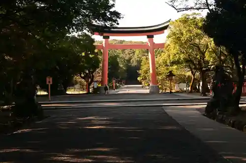 宇佐神宮の鳥居