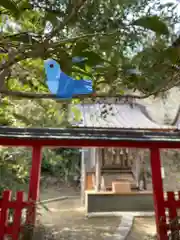 八幡神社のおみくじ