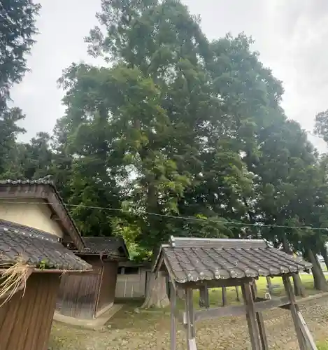 八幡神社(京都府)