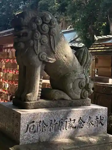 酒列磯前神社の狛犬