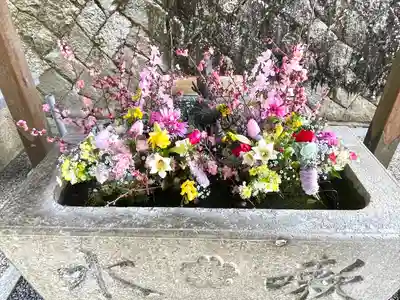 櫻神社(滋賀県)