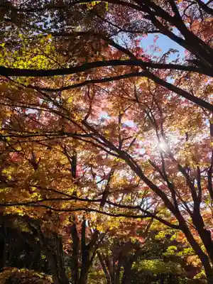 土津神社｜こどもと出世の神さま(福島県)