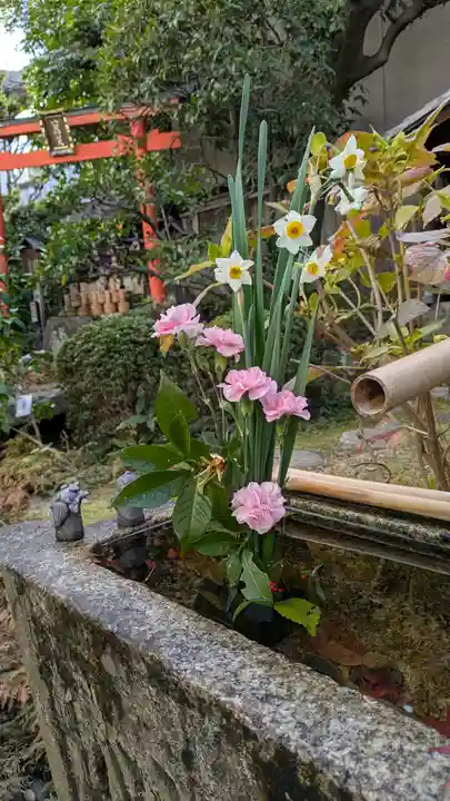 宝蔵寺(京都府)