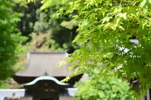円覚寺(神奈川県)