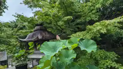 勝林寺(京都府)