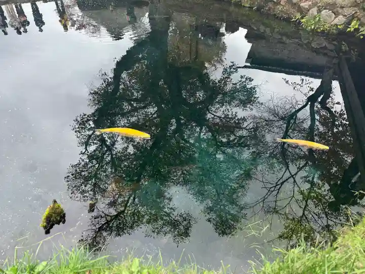 淺間神社(忍野八海)(山梨県)