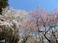 大宮温泉神社(栃木県)