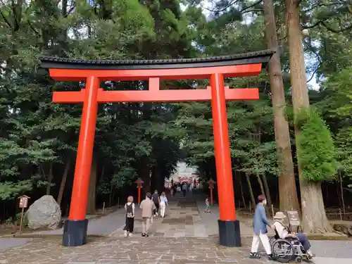 霧島神宮の鳥居