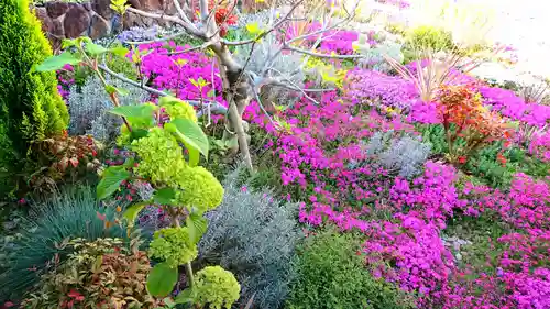 寿量山　速成寺の自然