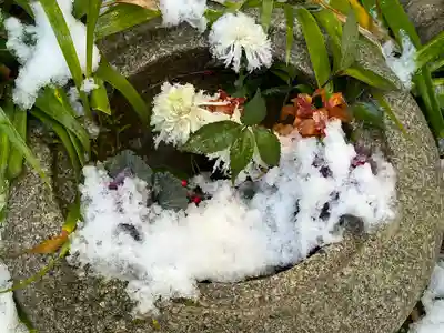 錦天満宮(京都府)