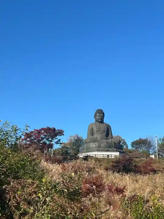寳光寺 鹿野大佛(東京都)