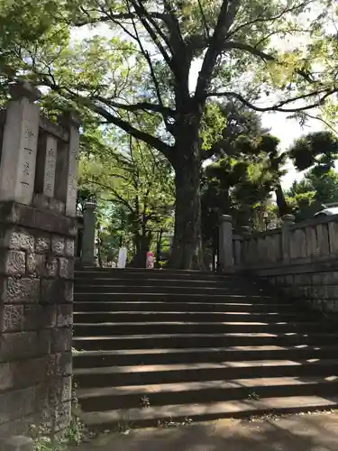 鬼子母神堂　(法明寺）の自然