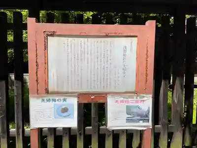 甲斐國一宮 浅間神社(山梨県)