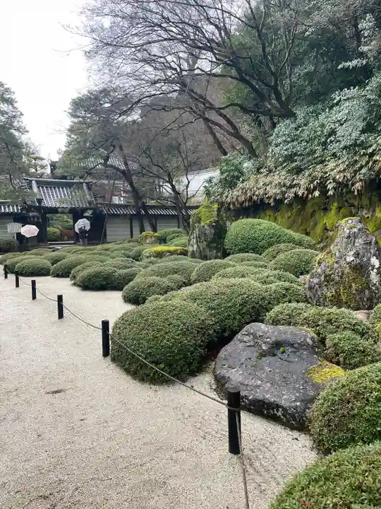知恩院(京都府)