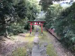 大國主神社の鳥居