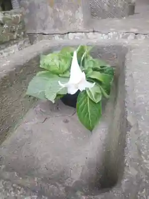 熊野福藏神社(福島県)