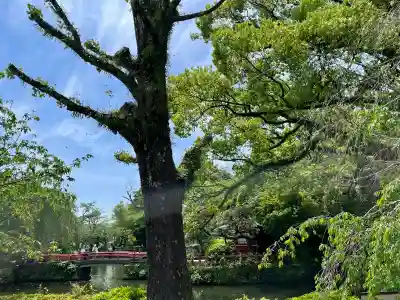 三嶋大社の{uncategorized: "未分類", other: "その他", undefined: "問題あり", building: "その他建物", grave: "お墓", sacred_gate: "鳥居", guardian: "狛犬", statue: "像", buddha: "仏像", history: "歴史", nature: "自然", garden: "庭園", animal: "動物", pagoda: "塔", temizu: "手水舎", mountain_gate: "山門・神門", sanctuary: "本殿・本堂", subordinate: "末社・摂社", art: "芸術", scenery: "景色", jizo: "地蔵", ema: "絵馬", goshuin: "御朱印", omikuji: "おみくじ", items: "授与品その他", amulet: "お守り", goshuincho: "御朱印帳", eats: "食事", festival: "お祭り", votive_dance: "神楽", shichigosan: "七五三参", wedding: "結婚式", experience: "体験その他", initially: "初詣", around: "周辺", anti_infection: "感染症対策"}