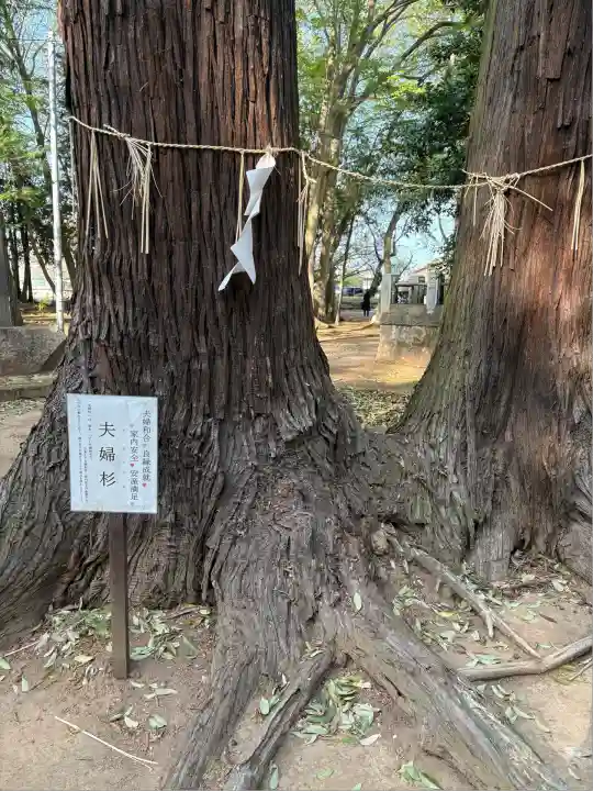 東蕗田天満社(茨城県)