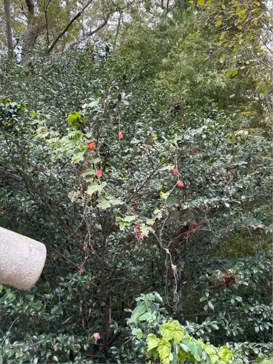 下野 星宮神社(栃木県)