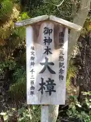 富知六所浅間神社の建物その他