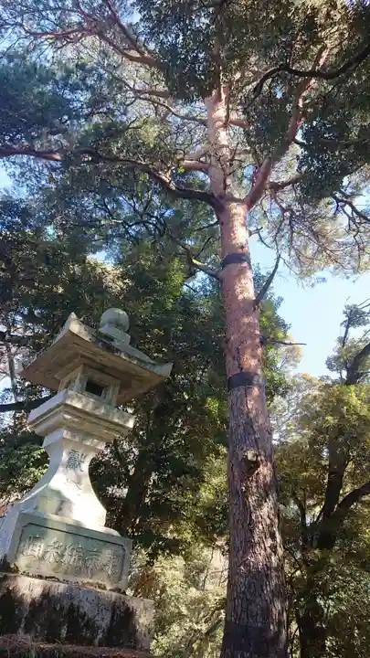 唐澤山神社のその他建物