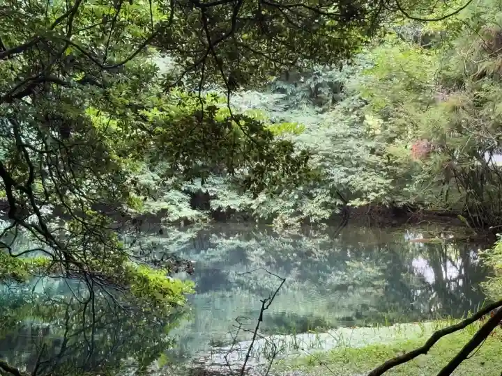丸池神社(山形県)