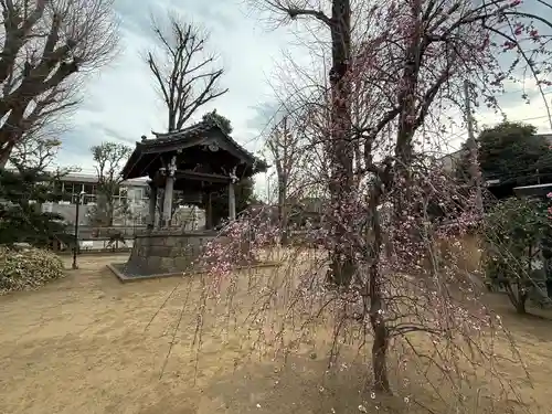 寛永寺(根本中堂)(東京都)