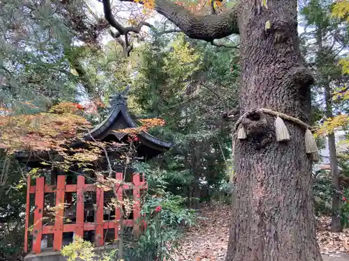 稗田神社の末社