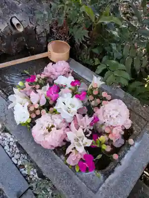 本郷氷川神社(東京都)