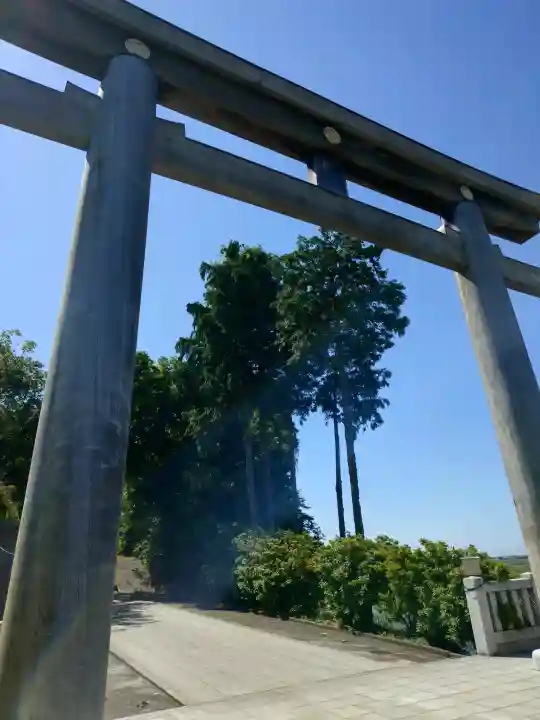千勝神社の{uncategorized: "未分類", other: "その他", undefined: "問題あり", building: "その他建物", grave: "お墓", sacred_gate: "鳥居", guardian: "狛犬", statue: "像", buddha: "仏像", history: "歴史", nature: "自然", garden: "庭園", animal: "動物", pagoda: "塔", temizu: "手水舎", mountain_gate: "山門・神門", sanctuary: "本殿・本堂", subordinate: "末社・摂社", art: "芸術", scenery: "景色", jizo: "地蔵", ema: "絵馬", goshuin: "御朱印", omikuji: "おみくじ", items: "授与品その他", amulet: "お守り", goshuincho: "御朱印帳", eats: "食事", festival: "お祭り", votive_dance: "神楽", shichigosan: "七五三参", wedding: "結婚式", experience: "体験その他", initially: "初詣", around: "周辺", anti_infection: "感染症対策"}