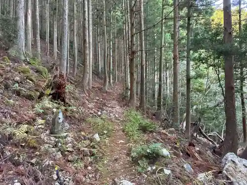 太龍寺(徳島県)